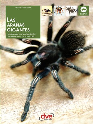 cover image of Las arañas gigantes